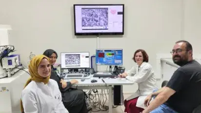 Scientific collaboration drives new advances in sustainable nanomaterials within the NANOEMCA project